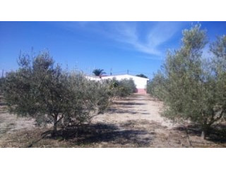 Hondon De Los Frailes - Country Finca..