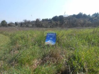 Istra, Ližnjan, 5 poljoprivrednih parcela totalne...
