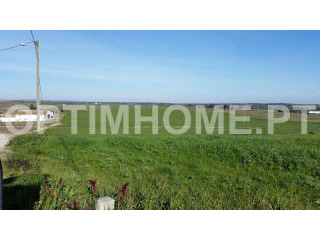Farm For Sale - Beja