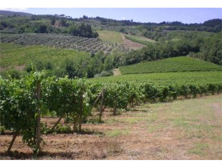 Farm House For Sale: San Gimignano