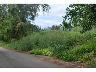 Property For Sale: Balls Plantation..