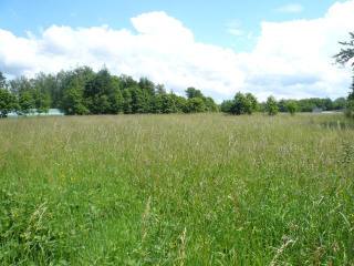 Approx. 2.5 Acre Building Land Divided..