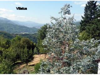 Country/farmhouse - For Sale - Bagni di..