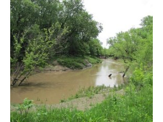 80 +/- Acres Recreational Hunting Land..