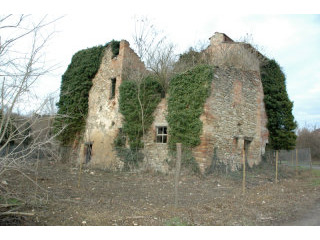 House - Umbria - For Sale