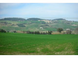 BUILDING LAND