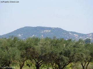 Land - Zakynthos - For Sale