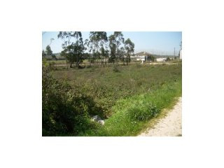 Industrial Land, Leiria