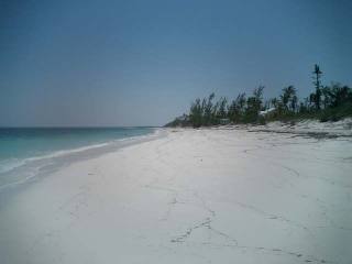 Singlefamilyvacant - Large corner lot..