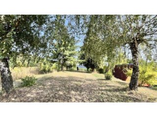 Prodaje se zemljište 2.877 m² s borovima i lipom!