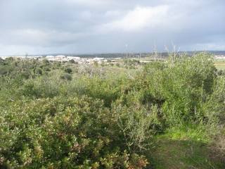 Apartment - Algarve - For Sale