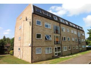 2 bed flat to rent
