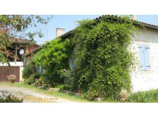 *small Paradise On 3,5 Ha Of Land*..