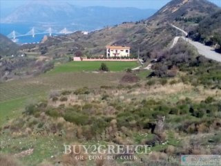 B568- BARGAIN - FOR SALE PLOT 3000m2..