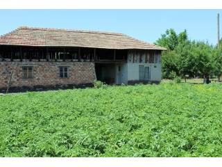 Regulated plot of land with 100 sq.m...