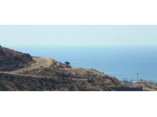 Land - A total of 12 plots,wonderfully..