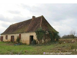 Ref 29031 : Longere