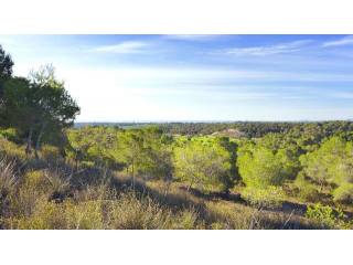 Plots for sale in Campoamor