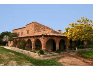Old Finca More Than 100 Years Old..