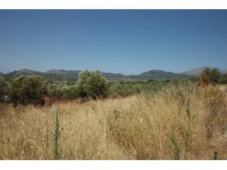Plot - Calvia