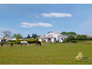 Reitimmobilie, Finca, Haus, Chiclana..