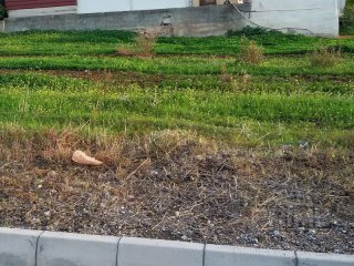 Land in Paphos, Cyprus, for Sale -..