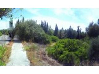 - Land - Illes Balears - For Sale
