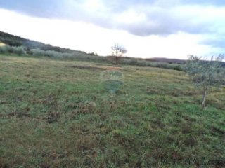 Poljoprivredno zemljište 500 m od mora