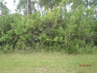 1102 Sw Paar Dr, Port Saint Lucie, FL -..