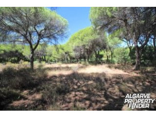 For Sale: Plot In Central Algarve..