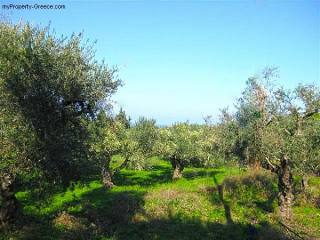 Plot only 250meters away from beach