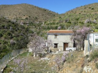 Cortijo / Country House in Albox