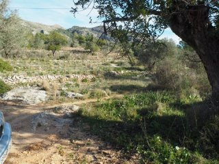 - Land - Alicante - For Sale