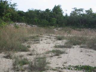 Land - Montego Bay - For Sale