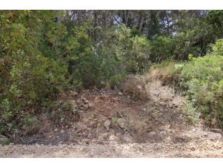 1000m2 building plot in Balcon al mar..