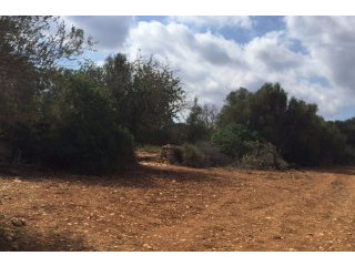 Plot in Santanyi
