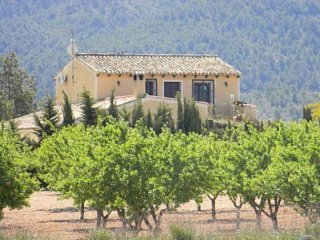Pinoso Alicante- 5 Bed Country House..