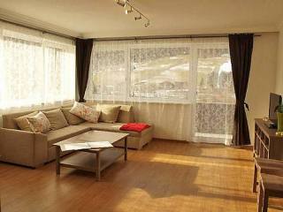 Generous apartment directly at the ski..