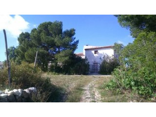 Excellent Country House In Monovar