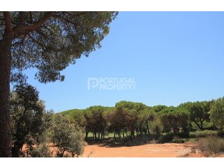 Pinhal Velho Golf plots for..