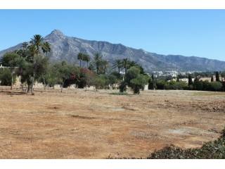 Fantastic Large Plot of Level Land..