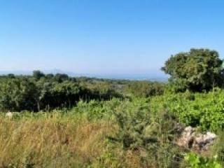 Buying Residential Land In Crete