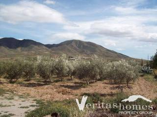 Ref: 1598 - Cortijo/Finca for Sale in..