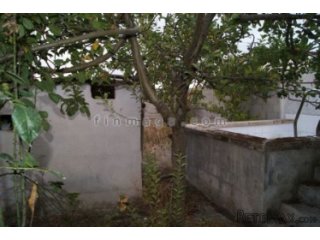 Plot of land of 136 m2 with newly built house of 32 m2..