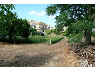 V000092, Terreno Edificabile A Pochi..