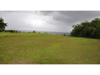 Property For Sale: Coral Cliff Lot 19..