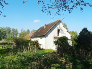 Delightful House, Quiet Location