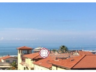 For Sale Apartment Camaiore