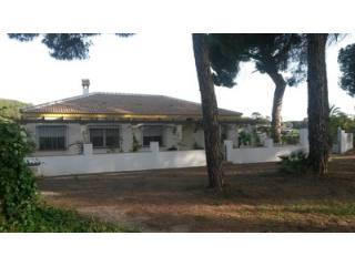 Finca Farm - This extensively renovated..
