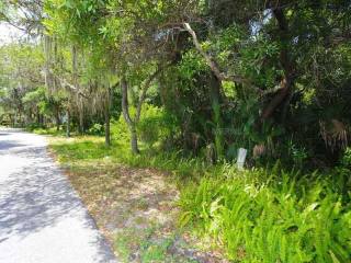 Land For Sale: 235 Osprey Point Dr..